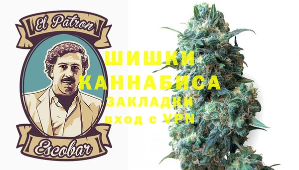 винт Арсеньев