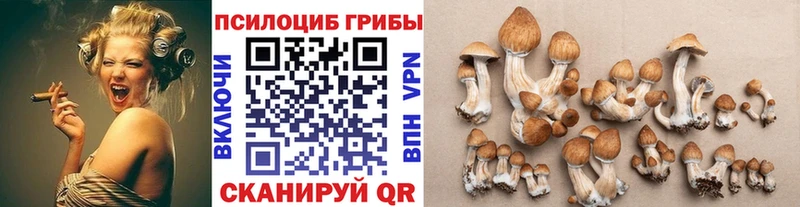 Галлюциногенные грибы GOLDEN TEACHER  Великие Луки 
